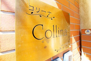 Ｃｏｌｌｉｎａ(コリ－ナ)の物件外観写真